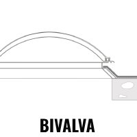 bivalva