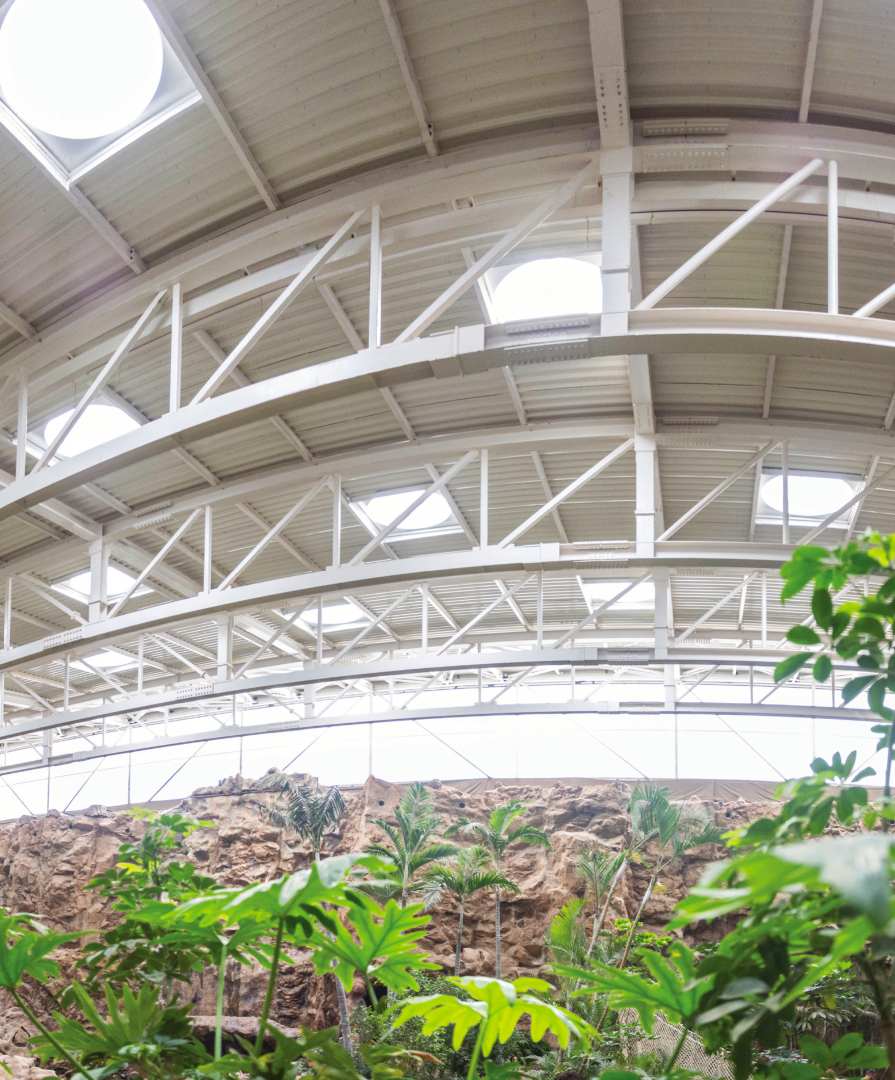 claraboyas-invernaderos claraboyas-invernaderos