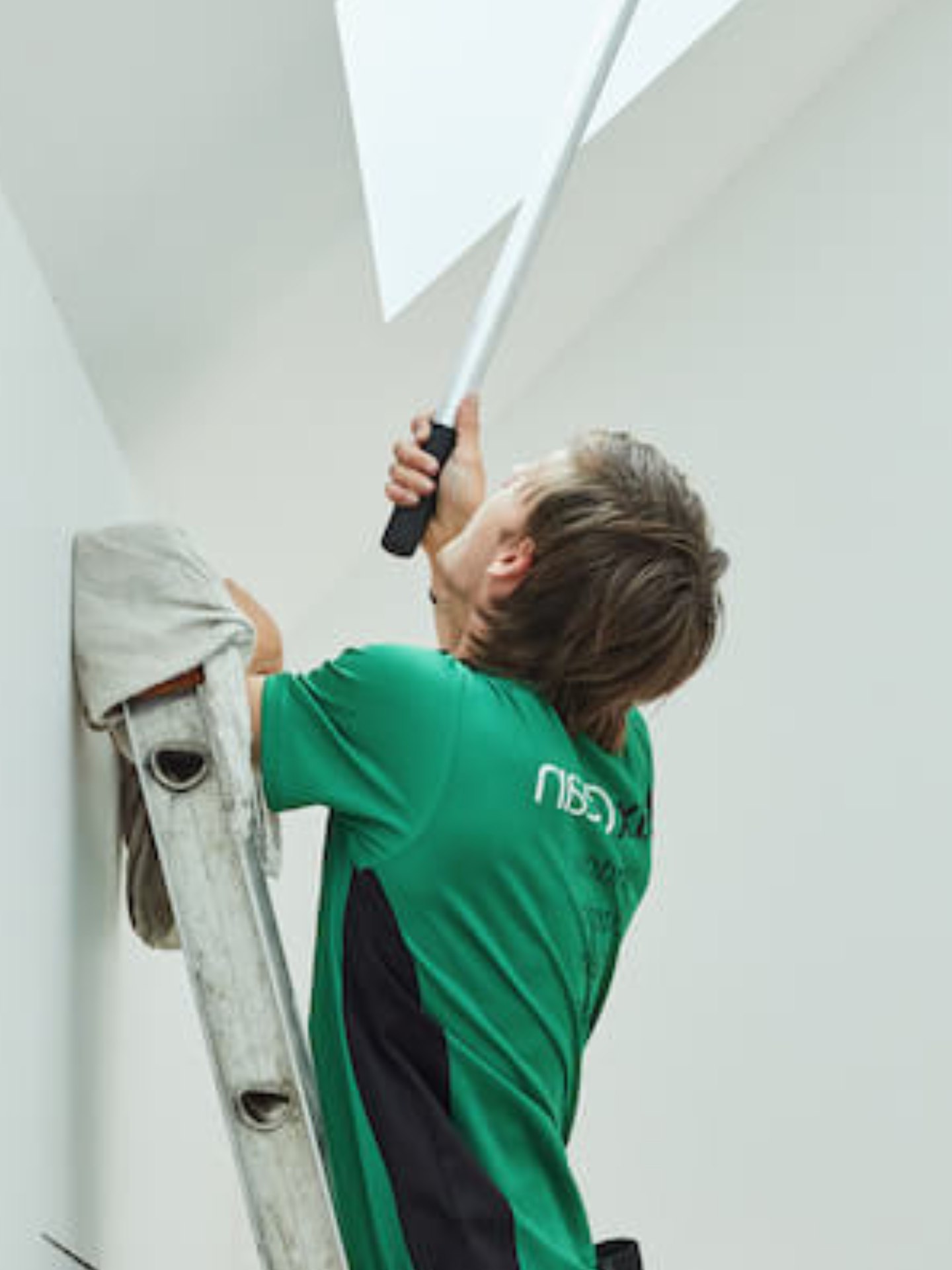 limpieza-claraboya limpieza-claraboya